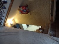 IMG_20211210_123252771.jpg