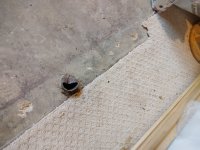 IMG_20220324_104057408.jpg
