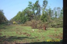 LookingOutBackDoorAfterKatrina.jpg