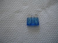 DSC01489.JPG