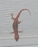 P8110001.JPG