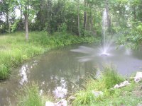 pond.JPG