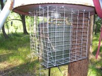 905765-cooncage.JPG