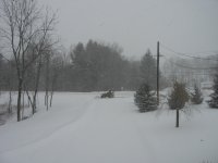 IMG_0158.jpg