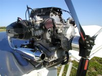 P5180065 (Medium).JPG