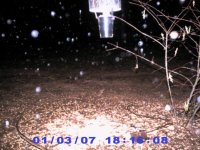 Rain Drops.jpg