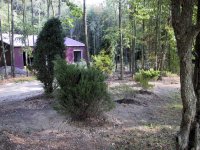 IMG_1216.jpg
