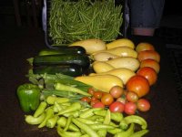 906238-cornucopia.jpg