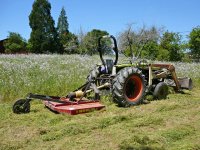 P1000832rYm240Mowing.jpg