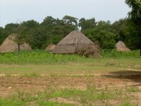 Huts.JPG