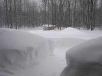 DSC00417.jpg