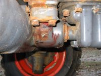 IMG_1111 (Medium).JPG
