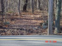 DSC00916.JPG