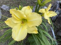 5450CF79-28CA-43CD-AEFF-FC44BF08BCB3.jpeg