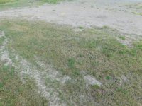 DSCN8109.JPG