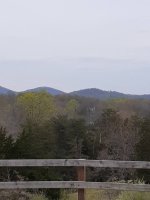20220411_190504_001.jpg