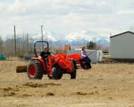 Grace using tractor as her hunting perch.jpg