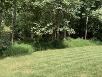 1AB5F455-3324-4A41-AED9-BD2A7D149F05.jpeg