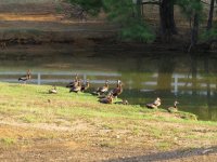 IMG_1579.JPG