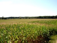 field2.jpg