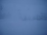 SnowDay 063.jpg
