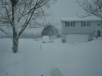 SnowDay 065.jpg