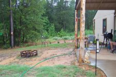 Hogs 005 (Small).jpg