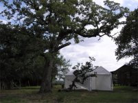 crushedcarport.jpg