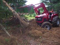Pushing tree sm..jpg