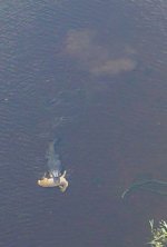 gator-with-deer.jpg