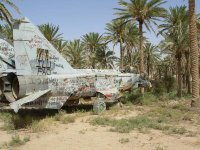 Resized_MiG_in_Palm_Grove.jpg