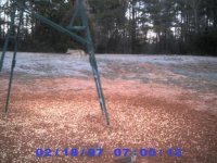 18 Feb 07 Coyote.jpg