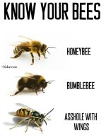 Bees 2.jpg