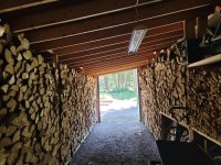 Woodshed 2022 looking out .jpg