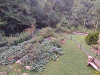backyard2.jpg