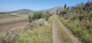 typical stretch of the existing road I will widen and improve.jpg