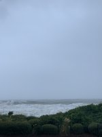 7C58A787-EFA2-4381-9D81-2B2279F6DA7C.jpeg