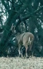 DSC_1158.jpg
