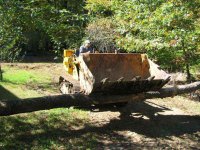 log move 2.jpg