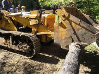 log move 4.jpg