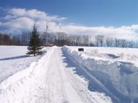Driveway1.JPG