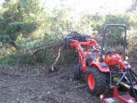 IMG_0815 lower land during clearing.JPG