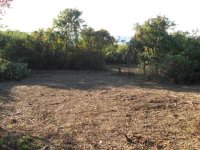 IMG_0833 clearing progress.JPG