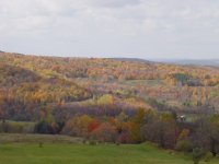DSC01195.JPG
