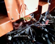 ckharness3.jpg
