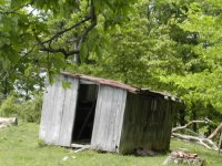 cabin2002.jpg