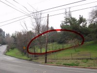 yard-slope.jpg