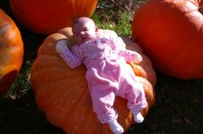pumpkin5.jpg