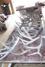 Antler Chandelier 001 (Small).jpg