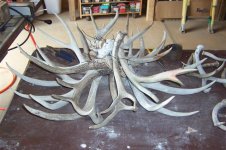 Antler Chandelier 003 (Small).jpg